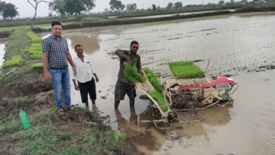 किसान अब पैडी ट्रांसप्लांटर विधि से धान रोपाई कर रहे