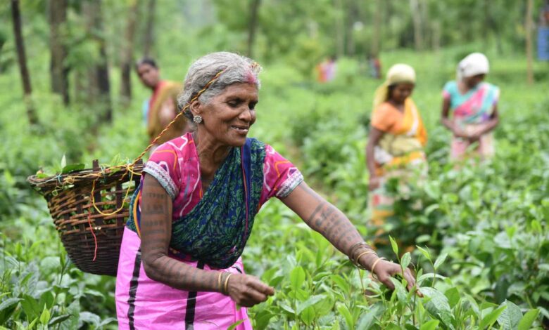 आत्मनिर्भर नारी, समृद्ध छत्तीसगढ़ : महिला सशक्तिकरण का नया अध्याय