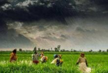 8 जुलाई तक भारी बारिश का अलर्ट, कई राज्यों में चलेंगी तेज हवाएं, किसान इन बातों का रखें ध्यान 8 जुलाई तक भारी बारिश का अलर्ट, कई राज्यों में चलेंगी तेज हवाएं, किसान इन बातों का रखें ध्यान