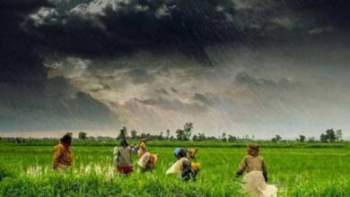 8 जुलाई तक भारी बारिश का अलर्ट, कई राज्यों में चलेंगी तेज हवाएं, किसान इन बातों का रखें ध्यान 8 जुलाई तक भारी बारिश का अलर्ट, कई राज्यों में चलेंगी तेज हवाएं, किसान इन बातों का रखें ध्यान