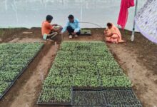 बिहान से बदली तकदीर : सुनीता वर्मा बनीं आत्मनिर्भरता की मिसाल बिहान से बदली तकदीर : सुनीता वर्मा बनीं आत्मनिर्भरता की मिसाल