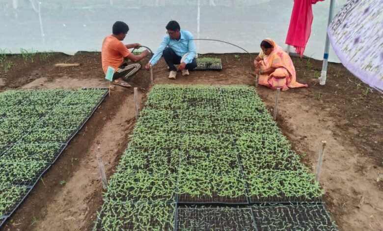 बिहान से बदली तकदीर : सुनीता वर्मा बनीं आत्मनिर्भरता की मिसाल