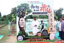 ‘एक पेड़ माँ के नाम 3.0’ से हरित भविष्य का संकल्प होगा और मजबूत : वनमंत्री केदार कश्यप