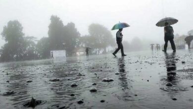 झमाझम बारिश से बदला मौसम का मिजाज, 48 घंटे तक भारी बारिश की चेतावनी