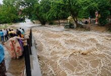 बालोद में सामान्य से 22.7% अधिक बारिश: किसानों के खिले चेहरे, जलभराव से जनजीवन प्रभावित बालोद में सामान्य से 22.7% अधिक बारिश: किसानों के खिले चेहरे, जलभराव से जनजीवन प्रभावित
