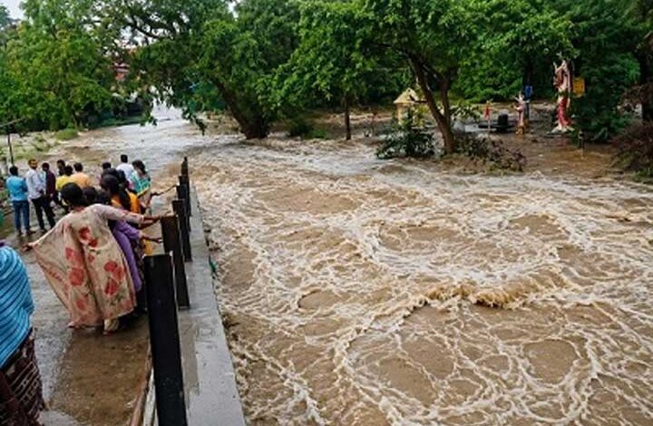 बालोद में सामान्य से 22.7% अधिक बारिश: किसानों के खिले चेहरे, जलभराव से जनजीवन प्रभावित बालोद में सामान्य से 22.7% अधिक बारिश: किसानों के खिले चेहरे, जलभराव से जनजीवन प्रभावित