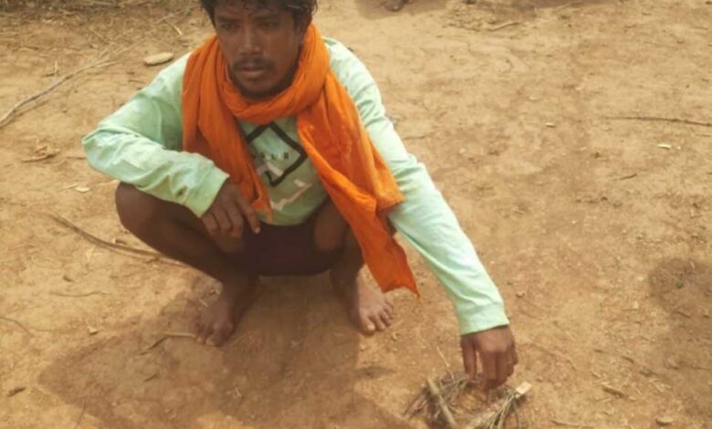 वन्यजीव संरक्षण में बड़ी सफलता : नर चीतल के अवैध शिकार का खुलासा, सात आरोपी गिरफ्तार, न्यायालय ने भेजा जेल