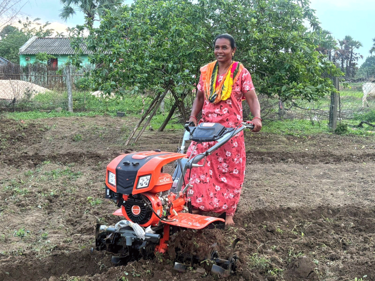 हल-बैल से मशीन तक का सफर : सोढ़ी तिरपो बनीं आधुनिक खेती की नई पहचान हल-बैल से मशीन तक का सफर : सोढ़ी तिरपो बनीं आधुनिक खेती की नई पहचान