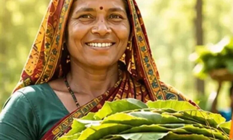 तेंदूपत्ता संग्राहकों के सामाजिक-आर्थिक सशक्तिकरण की ओर छत्तीसगढ़ तेंदूपत्ता संग्राहकों के सामाजिक-आर्थिक सशक्तिकरण की ओर छत्तीसगढ़