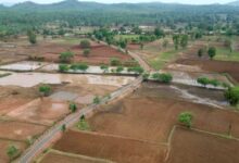 प्रधानमंत्री जनमन योजना से वनांचल ग्राम छिंदपुर में बनी पक्की सड़क, ग्रामीणों की राह हुई आसान
