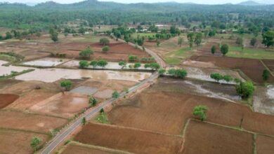 प्रधानमंत्री जनमन योजना से वनांचल ग्राम छिंदपुर में बनी पक्की सड़क, ग्रामीणों की राह हुई आसान