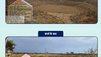 270 आजीविका डबरी निर्माण कार्य पूर्ण, जल संरक्षण एवं सिंचाई सुविधाओं को मिला बढ़ावा