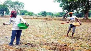 खण्ड एवम अल्प वर्षा की संभावनाओं के बीच किसानों से सरकार का अपील