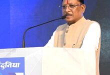 सिंचाई सुविधाओं के विस्तार, फसल विविधिकरण और आधुनिक तकनीक से खेती बनेगी अधिक लाभकारी – मुख्यमंत्री साय