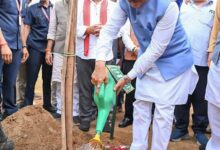मुख्यमंत्री श्री विष्णुदेव साय ने अपनी माँ के नाम पर लगाया पीपल का पौधा, वन महोत्सव-2026 का हुआ शुभारंभ