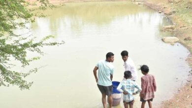जल संरक्षण से बदला जीवन: धमतरी के भोथापारा में आजीविका डबरी बनी आर्थिक स्वावलंबन का नया आधार