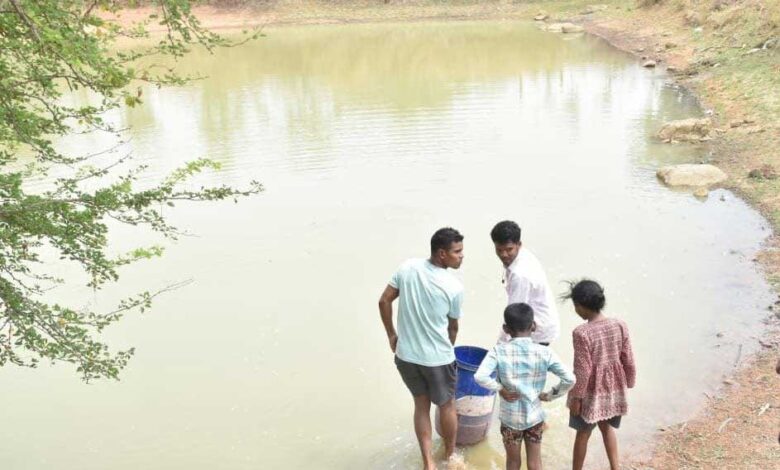जल संरक्षण से बदला जीवन: धमतरी के भोथापारा में आजीविका डबरी बनी आर्थिक स्वावलंबन का नया आधार