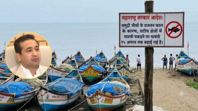 समुद्री प्रजनन काल को बचाने की पहल, महाराष्ट्र ने बढ़ाया फिशिंग बैन, गोवा करेगा सहयोग