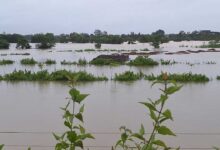 बस्तर में बारिश थमी, लेकिन नदियां उफान पर; प्रशासन अलर्ट