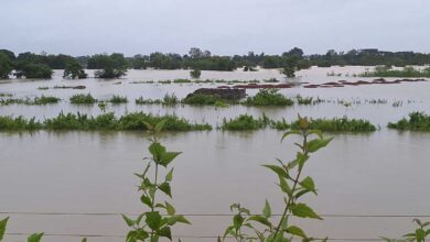 बस्तर में बारिश थमी, लेकिन नदियां उफान पर; प्रशासन अलर्ट बस्तर में बारिश थमी, लेकिन नदियां उफान पर; प्रशासन अलर्ट