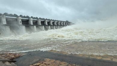 छत्तीसगढ़ में लगातार बारिश से नदी नाले उफान पर, कई मार्गो और आवगामन ठप, गंगरेल के सभी गेट खुले…