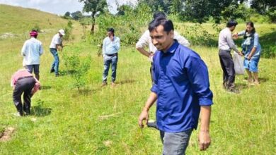 सेवा संकल्प अभियान: जोगी डोंगरी जलाशय में स्वच्छता अभियान से दिया जल संरक्षण का संदेश सेवा संकल्प अभियान: जोगी डोंगरी जलाशय में स्वच्छता अभियान से दिया जल संरक्षण का संदेश