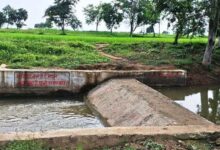 सेवा संकल्प अभियान: सेवा की कहानी : बहकर निकल जाता था बारिश का पानी, चेकडेम ने खेतों तक पहुंचाया सिंचाई का सहारा