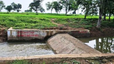 सेवा संकल्प अभियान: सेवा की कहानी : बहकर निकल जाता था बारिश का पानी, चेकडेम ने खेतों तक पहुंचाया सिंचाई का सहारा सेवा संकल्प अभियान: सेवा की कहानी : बहकर निकल जाता था बारिश का पानी, चेकडेम ने खेतों तक पहुंचाया सिंचाई का सहारा