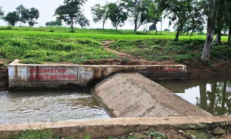 सेवा संकल्प अभियान: सेवा की कहानी : बहकर निकल जाता था बारिश का पानी, चेकडेम ने खेतों तक पहुंचाया सिंचाई का सहारा