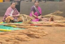 अबुझमाड़ की नई सुबह: जब जंगलों की छांव से निकलकर स्वावलंबन की मिसाल बनीं नारायणपुर की महिलाएं अबुझमाड़ की नई सुबह: जब जंगलों की छांव से निकलकर स्वावलंबन की मिसाल बनीं नारायणपुर की महिलाएं
