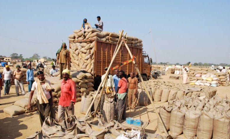 किसानों की हित में फैसलों से मजबूत हो रही छत्तीसगढ़ की ग्रामीण अर्थव्यवस्था किसानों की हित में फैसलों से मजबूत हो रही छत्तीसगढ़ की ग्रामीण अर्थव्यवस्था