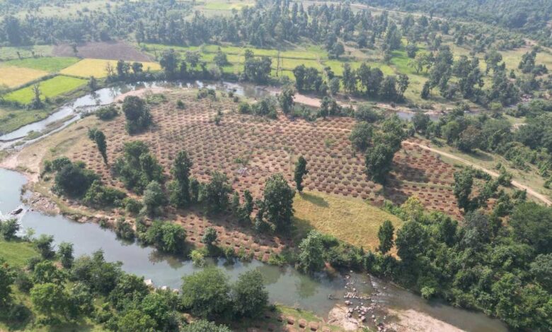 जल संरक्षण से बदलेगी दर्री की तस्वीर, 24 लाख 30 हजार लीटर वर्षा जल सहेजने की अनूठी पहल