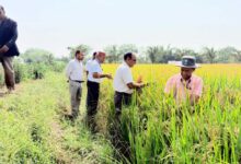 माटी में रोजगार- प्रतिदिन 300 रुपए की मजदूरी से श्रमिक परिवारों को मिला मजबूत आर्थिक आधार, पलायन पर लगी रोक