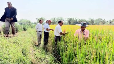 माटी में रोजगार- प्रतिदिन 300 रुपए की मजदूरी से श्रमिक परिवारों को मिला मजबूत आर्थिक आधार, पलायन पर लगी रोक