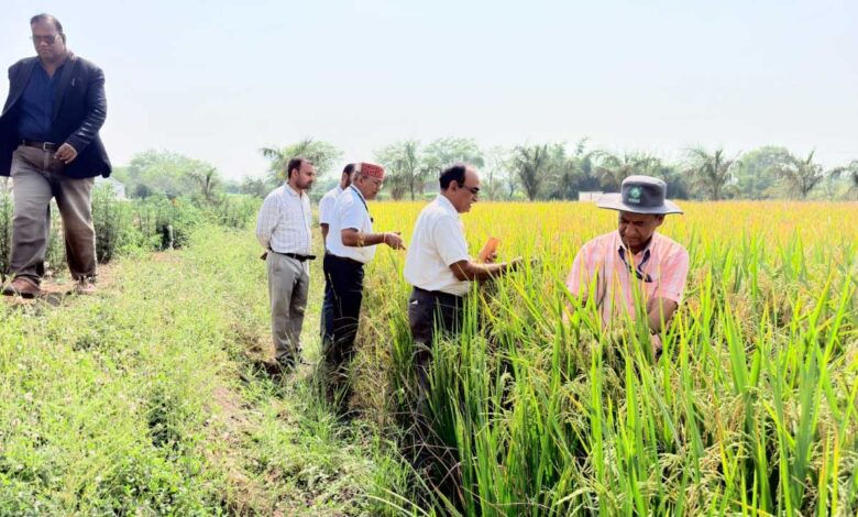 माटी में रोजगार- प्रतिदिन 300 रुपए की मजदूरी से श्रमिक परिवारों को मिला मजबूत आर्थिक आधार, पलायन पर लगी रोक माटी में रोजगार- प्रतिदिन 300 रुपए की मजदूरी से श्रमिक परिवारों को मिला मजबूत आर्थिक आधार, पलायन पर लगी रोक