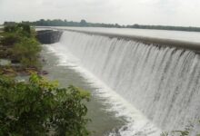 तांदुला जल संसाधन संभाग दुर्ग ने हर खेत तक पानी पहुँचाकर रचा जल क्रांति का इतिहास तांदुला जल संसाधन संभाग दुर्ग ने हर खेत तक पानी पहुँचाकर रचा जल क्रांति का इतिहास