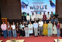 कला और कल्पनाशीलता से युवाओं ने दिया वन्यजीव संरक्षण का संदेश