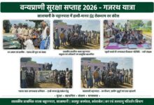 वन्यप्राणी सुरक्षा सप्ताह: जशपुर में गजरथ के माध्यम से मानव-हाथी द्वंद्व रोकथाम के लिए जनजागरूकता अभियान