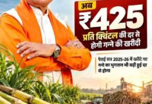 गन्ना मूल्य में छत्तीसगढ़ देश में नंबर वन