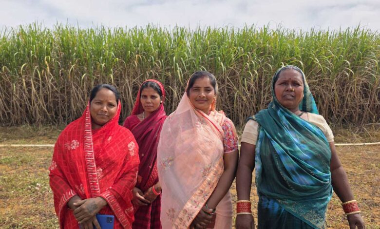 मुख्यमंत्री श्री विष्णु देव साय के नेतृत्व में बिहान योजना से आत्मनिर्भर बन रहीं ग्रामीण महिलाएं, गन्ने की खेती से ममता राजवाड़े ने बढ़ाई आमदनी मुख्यमंत्री श्री विष्णु देव साय के नेतृत्व में बिहान योजना से आत्मनिर्भर बन रहीं ग्रामीण महिलाएं, गन्ने की खेती से ममता राजवाड़े ने बढ़ाई आमदनी