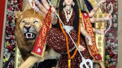 1972 से महिषासुर मर्दिनी स्वरूप में विराज रहीं मां दुर्गा, तीसरी पीढ़ी के युवा संभाल रहे महोत्सव की परंपरा